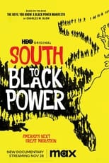 Poster for South to Black Power