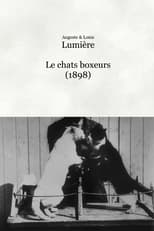 Poster for Les chats boxeurs 