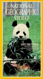 Poster di Save the Panda