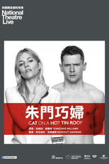 热铁皮屋顶上的猫