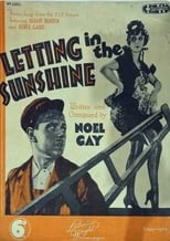 Poster for Letting in the Sunshine