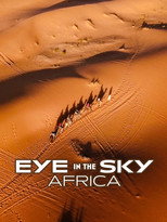 Eye in the Sky: Africa poster