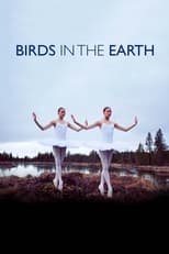 Poster for Birds in the Earth 