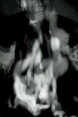 Nightmares in Spring Chamber