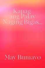 Kapag Ang Palay Naging Bigas... May Bumayo