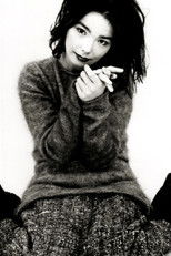 Björk's Greatest Hits: Volumes 1993-2003