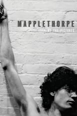 Poster for Mapplethorpe: Look at the Pictures 