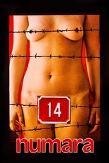 Poster for Number 14