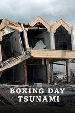 Boxing Day Tsunami poster