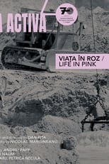 Poster for Life in Pink 