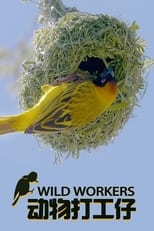 Poster for Wild Workers