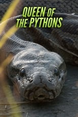 Poster for Queen of the Pythons 