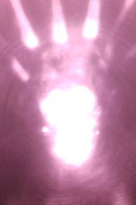 Op. 3 No. 1 poster