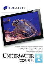 BluScenes: Underwater Cozumel poster