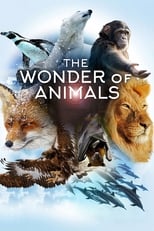 Poster di The Wonder of Animals