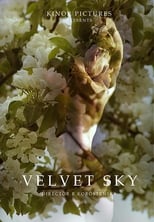 Poster for Velvet Sky 