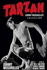 Tarzan (Johnny Weissmuller) Collection