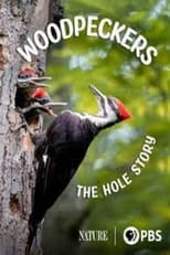 Poster for Woodpeckers: The Hole Story