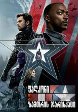 შევარდენი და ზამთრის ჯარისკაცი