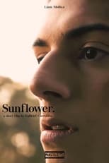 Poster for Sunflower 