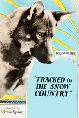 Poster for Tracked in the Snow Country