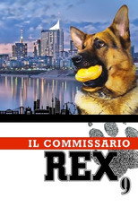 Stagione 9