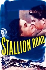 Poster for Stallion Road