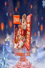 2026年辽宁卫视春节联欢晚会 poster movie