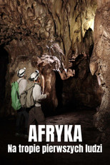 Afrique : Sur la piste des premiers hommes
