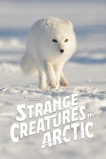 Image STRANGE CREATURES OF THE ARCTIC (2022)