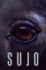 Sujo main poster