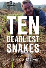 Poster di Ten Deadliest Snakes with Nigel Marven