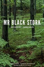 Poster for Mr Black Stork