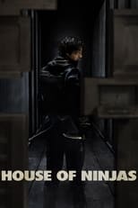 Poster for House of Ninjas Season 1