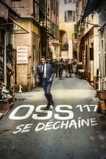 OSS 117 se déchaîne