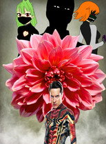 Lotus Defenders poster