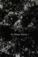 El Abrazo Eterno poster