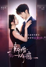 新婚有瘾 poster
