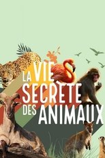 Poster for La vie secrète des animaux