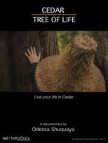 Poster for Cedar Tree of Life