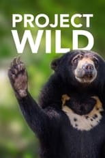 Poster for Project Wild