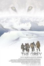 The Grey