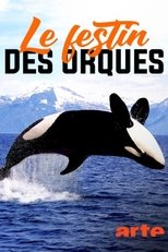 Poster for Norvège : le festin des orques 