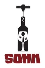 Poster for Somm 