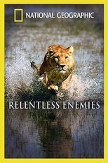 Poster for Relentless Enemies: Lions and Buffalo 