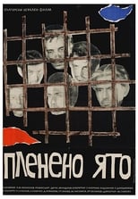 Poster for Captive Flock