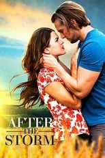 Poster for After the Storm