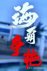 海霸争艳 poster