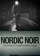 Nordic Noir - Das Erfolgsgeheimnis skandinavischer Serien