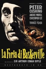 Poster di La furia dei Baskerville